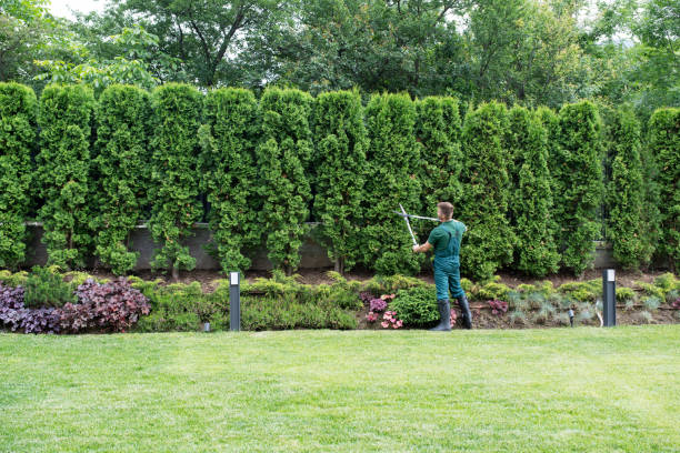 Trusted Garwood, NJ Tree Removal and Landscaping Services Experts